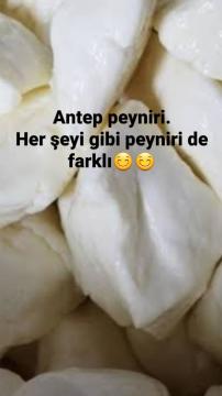 Antep Peyniri 1 kg Salamura