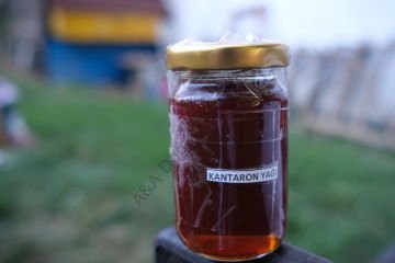 Kantaron Yağı 350 ML Cam KAVANOZ