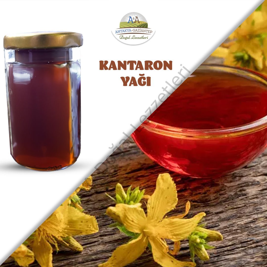 Kantaron Yağı 100 ML Cam KAVANOZ